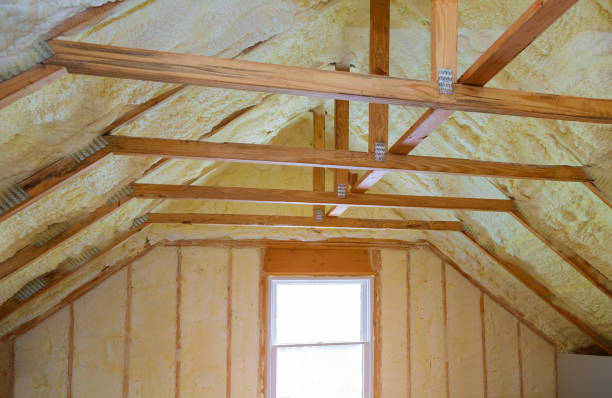 Best Specialized Insulation Services in Eminence, KY