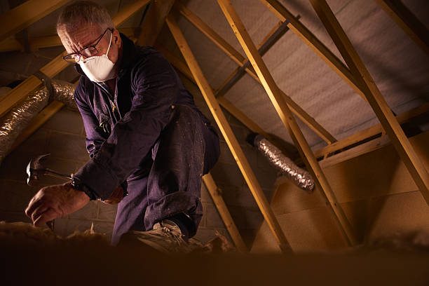 Best Cellulose Insulation in Eminence, KY